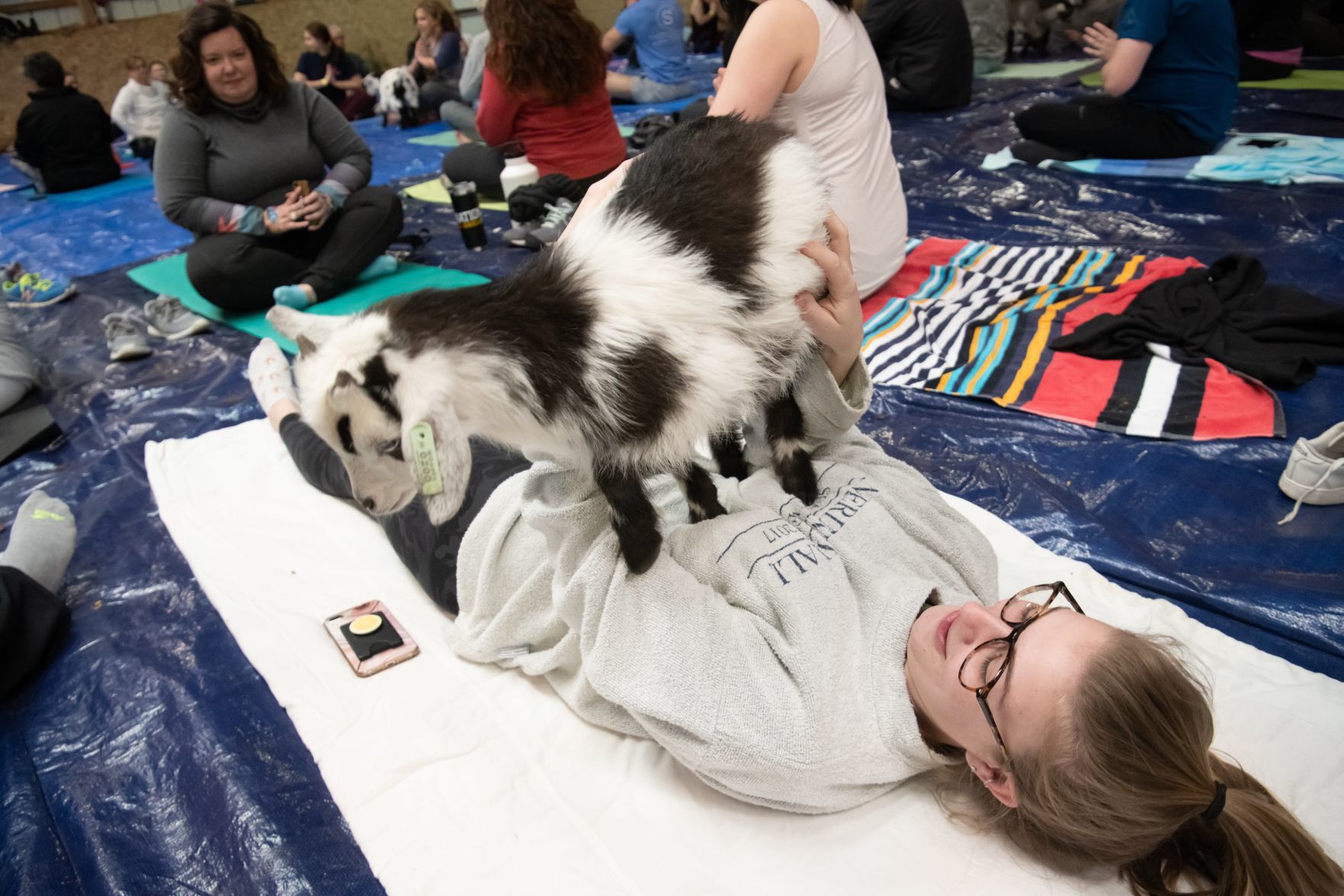 Baby goat yoga at Longmeadow Rescue Ranch